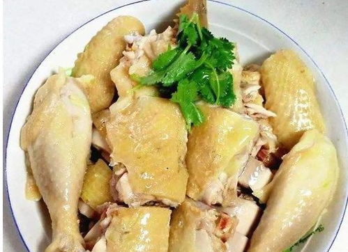 广式隔水蒸鸡的做法,隔水蒸鸡的做法要几分钟