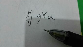 荀的拼音