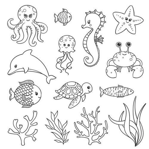 各种海底动物简笔画图片