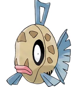 笨笨鱼进化图,笨笨鱼几级进化_竞价网