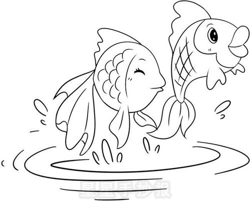 鲤鱼怎么画 简笔画,鲤鱼怎么画马克笔_竞价网