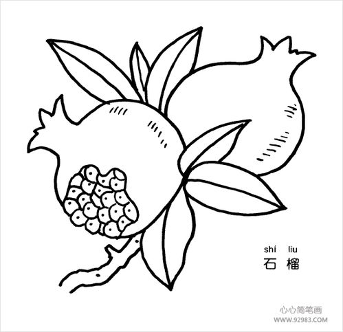 石榴简笔画画法