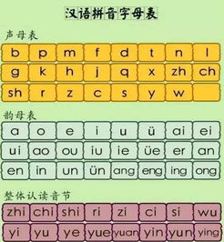 浸泡的拼音怎么写,浸泡的拼音怎么读