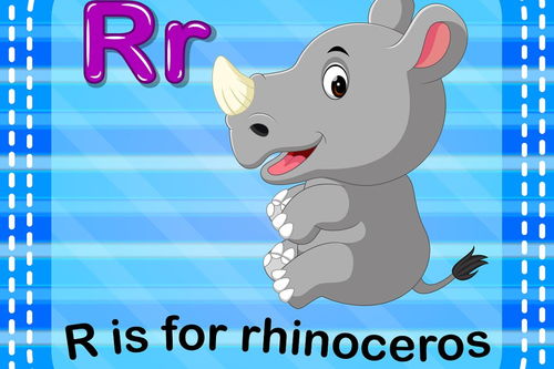 老鼠的英文复数,老鼠的英文复数怎么读_竞价网