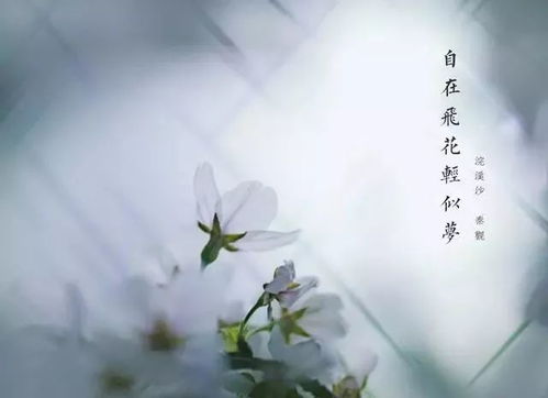 得之坦然失之淡然顺其自然争其必然是什么意思?