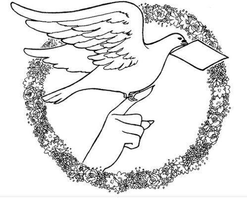 和平鸽简笔画怎么画