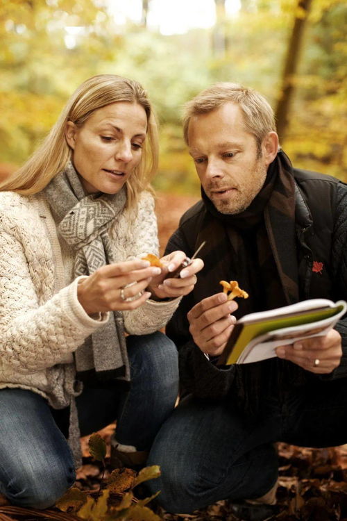 丹麦的主要人种是什么?