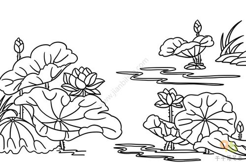 池塘简笔画带颜色,夏天的池塘简笔画_竞价网
