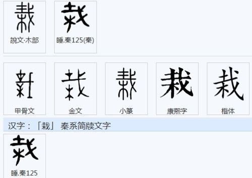 栽盆,栽莳,仙人栽豆,栽岩,独出心栽 另外,栽 ,汉语汉字,拼音是zāi