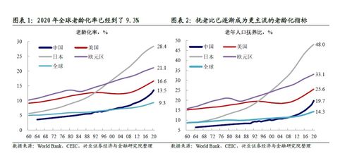 中国人的平均寿命有多少岁?