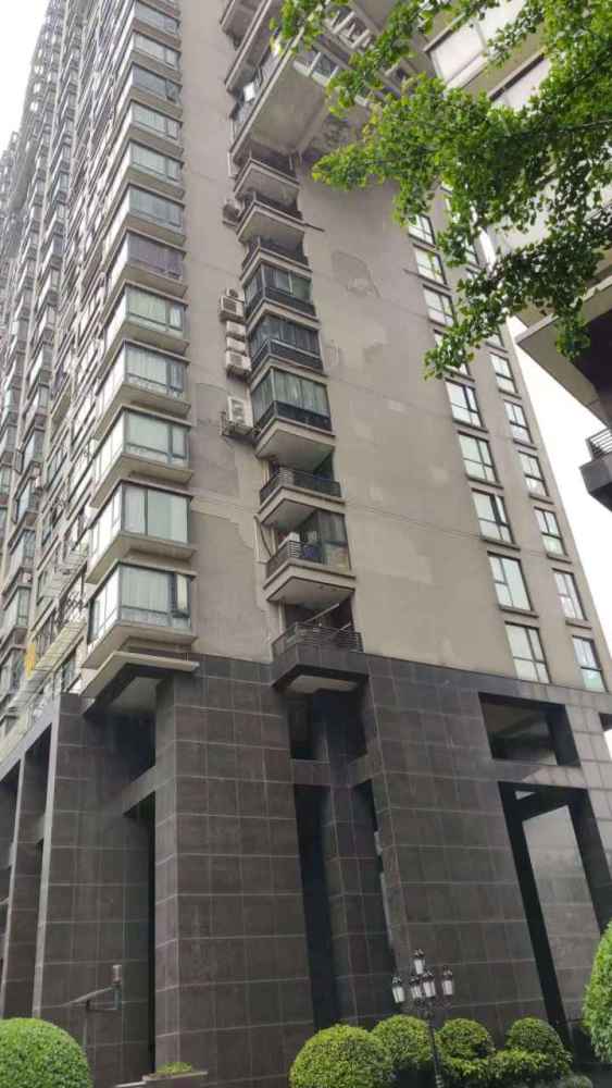 张妍潘磊一手拿着望远镜,看着对面的窗户,潘磊拿望远镜看张妍_竞价网