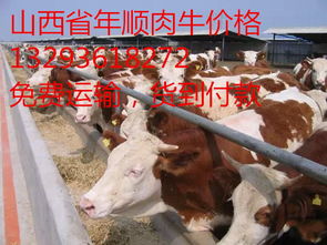 三台县通济镇肉牛养殖基地有哪几家?