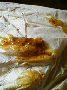 猫大便带血是怎么回事?