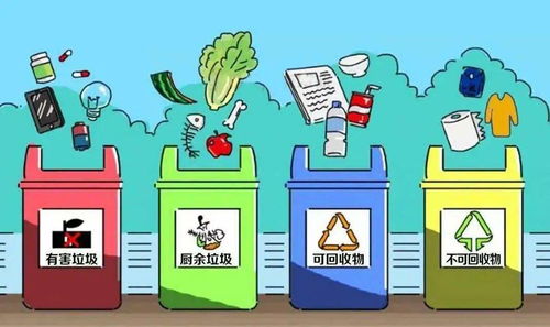 垃圾分类怎么画