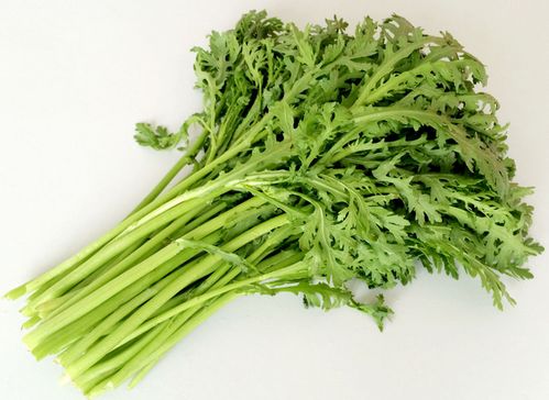 茼蒿读音台湾,茼蒿的拼音怎么读音_竞价网