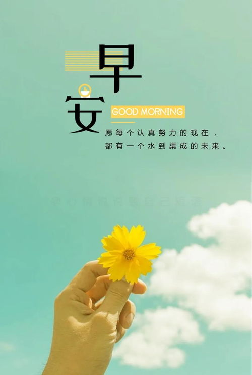 美好一天的心情短语早上朋友圈,美好一天的心情说说_竞价网