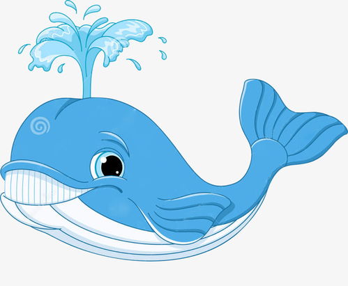 鲸鱼出水时,为什么会喷水?