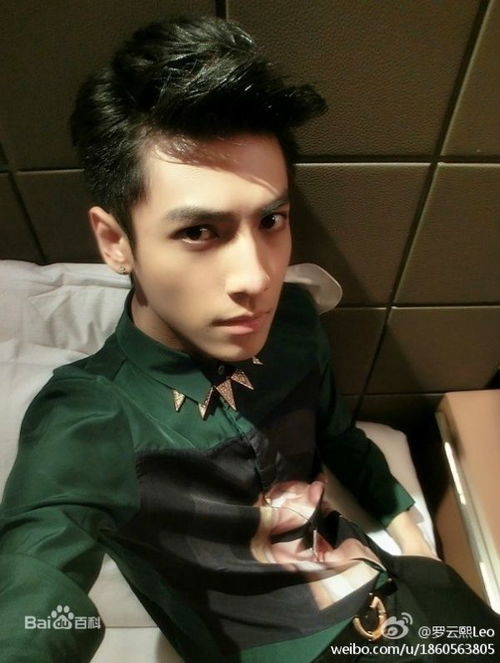 小何以琛的扮演者 罗云熙,何以琛小时候_竞价网