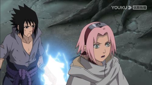 佐助和小樱在哪集表的白