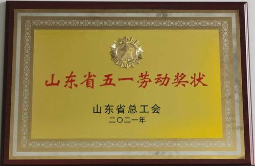 山东省五一劳动奖章是什么级别的