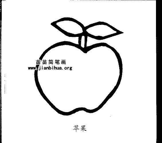 苹果皮简笔画图片