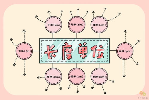 长度单位的思维导图怎么画二年级
