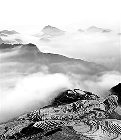 两个山念什么_竞价网