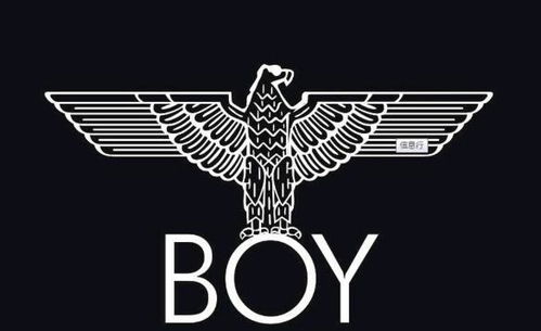 boy的读音是[b0001],具体释义如下:表达意思:男孩;儿子;男青年