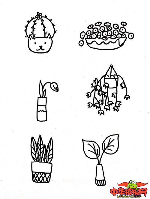 春天里的植物简笔画图片