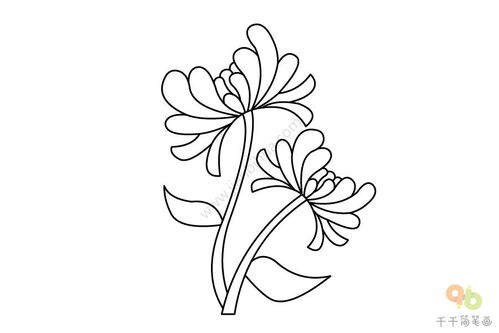 菊花怎么画漂亮又简单 小学生,菊花怎么画漂亮又简单 一步一步_竞价网