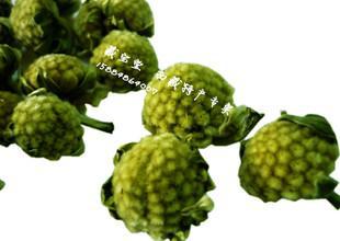 中草药:梦花根的功效与作用