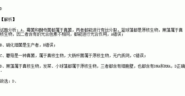 真核原核生物区分口诀,黑藻是原核细胞吗_竞价网