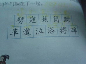 忧的拼音和组词和部首,忧的拼音和组词和偏旁_竞价网