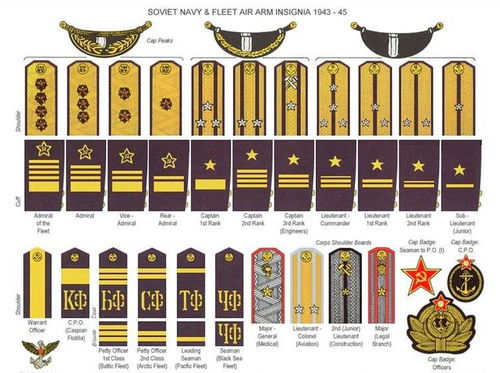 苏联元帅:为苏联工农红军最高军衔,菱形领章,底板为红色,上两边绣金边